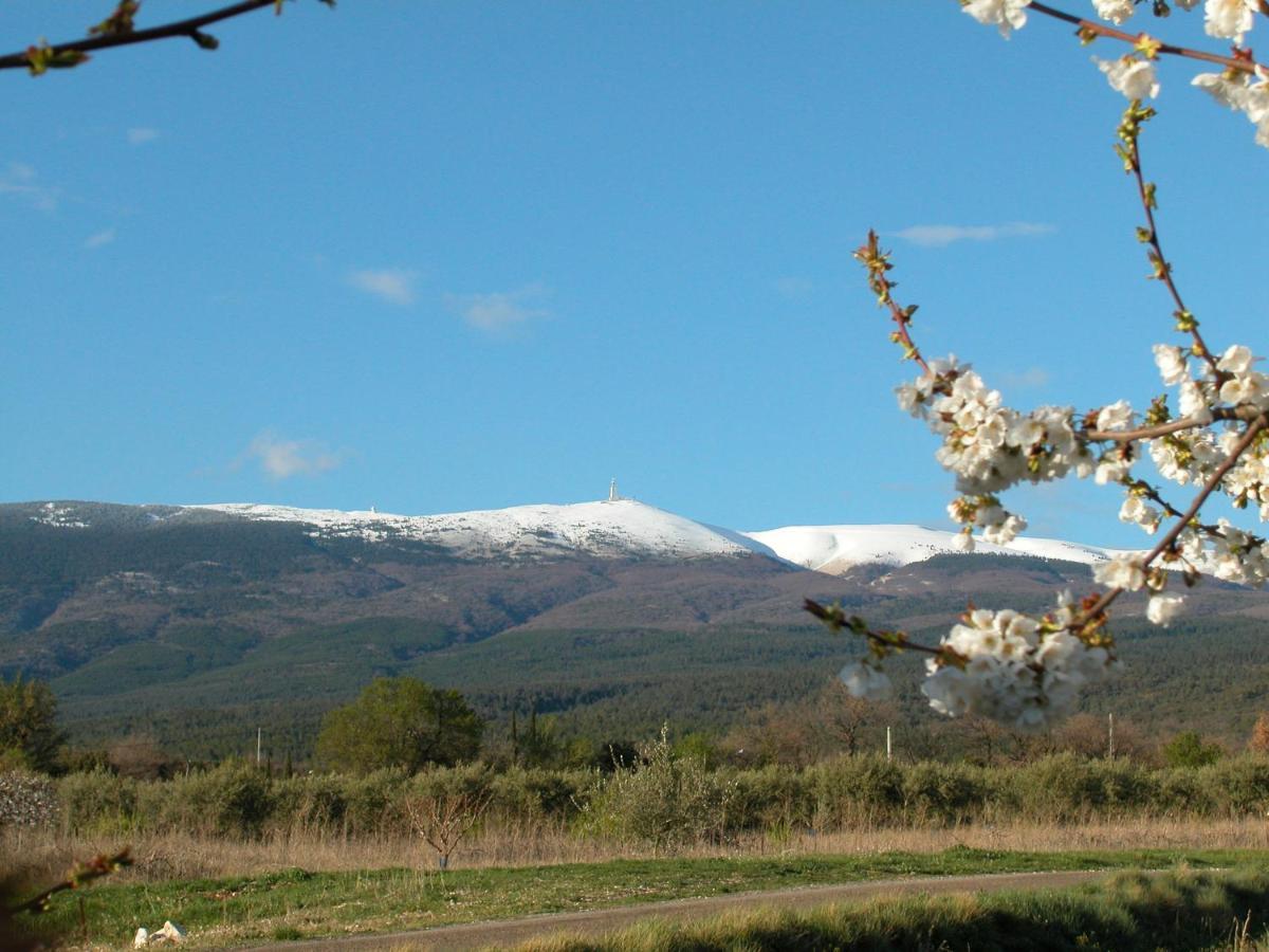 Mormoiron Mas Boudeissoun - Coeur De Cerise - Baignade A 600 Mヴィラ エクステリア 写真